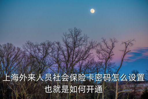 上海市醫保密碼，上海外來人員社會保險卡密碼怎么設置也就是如何開通