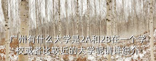 廣州有什么大學是2A和2B在一個學校或者比較近的大學呢請詳細介