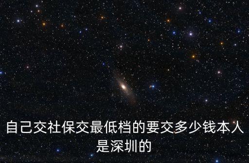 自己交社保交最低檔的要交多少錢本人是深圳的