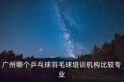 廣州哪個乒乓球羽毛球培訓機構比較專業