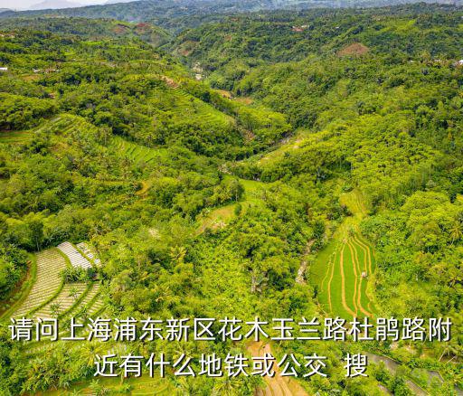 請問上海浦東新區(qū)花木玉蘭路杜鵑路附近有什么地鐵或公交  搜