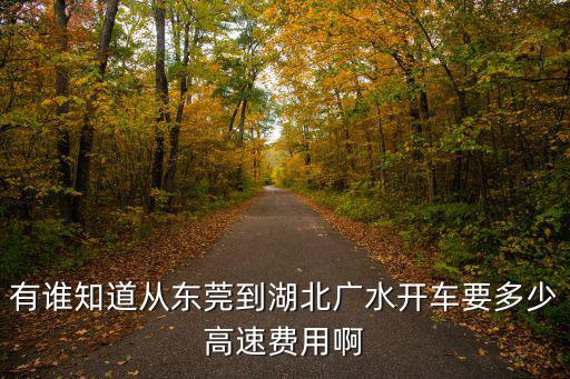 有誰知道從東莞到湖北廣水開車要多少高速費用啊