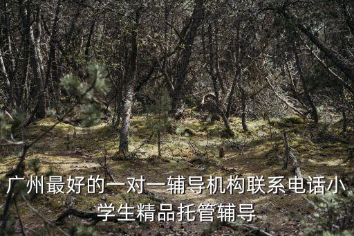 廣州最好的一對一輔導機構聯系電話小學生精品托管輔導