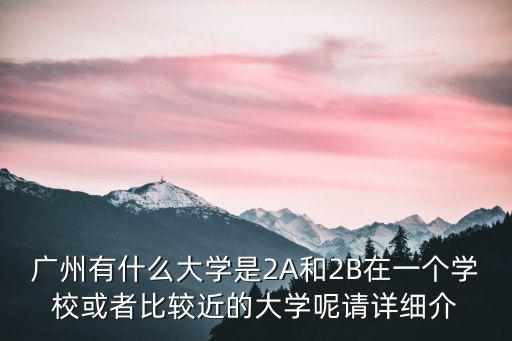 廣州白云學院是2a，廣東省內本科的大學有那一些2A以上的