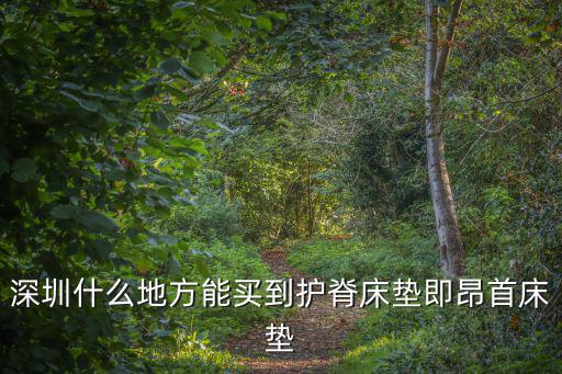 深圳什么地方能買到護脊床墊即昂首床墊