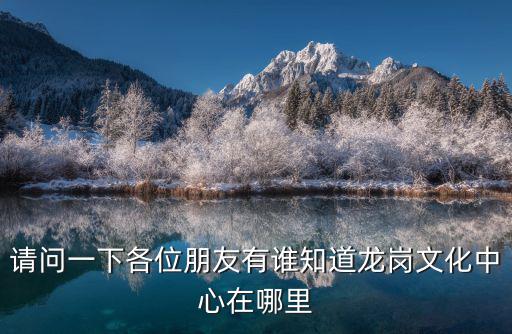 深圳市龍崗區新生文化廣場地址，深圳龍崗區新生廣場屬于哪個社區