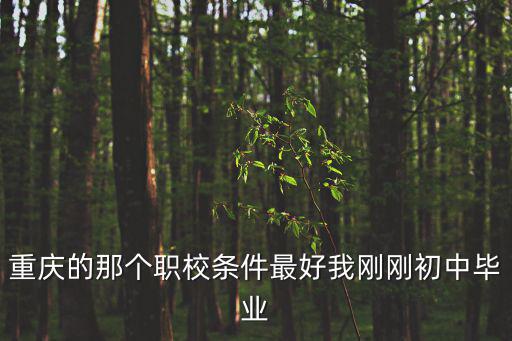 重慶的那個職校條件最好我剛剛初中畢業
