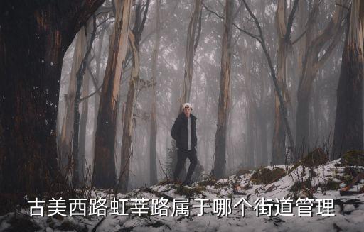 古美西路虹莘路屬于哪個(gè)街道管理