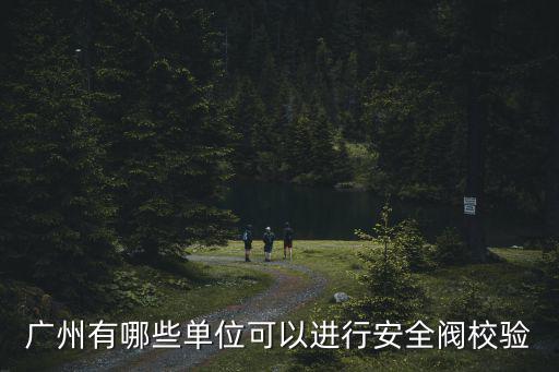 廣州有哪些單位可以進行安全閥校驗