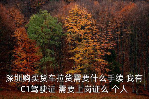 深圳購買貨車拉貨需要什么手續 我有C1駕駛證 需要上崗證么 個人
