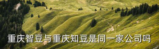 重慶市智能企業名單，重慶市有哪些信價比較好的智能考勤系統公司