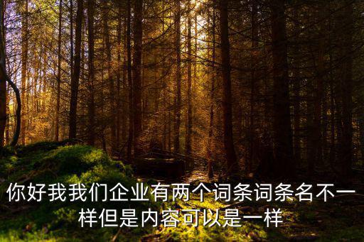你好我我們企業(yè)有兩個(gè)詞條詞條名不一樣但是內(nèi)容可以是一樣