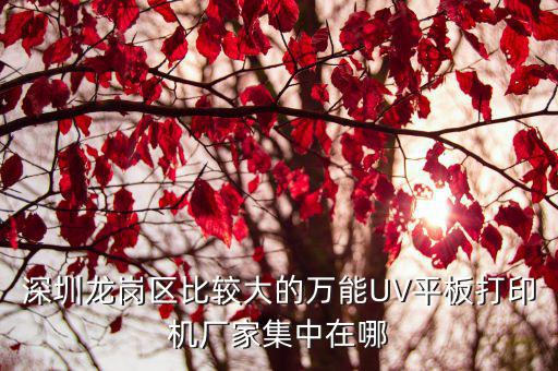 深圳龍崗區比較大的萬能UV平板打印機廠家集中在哪