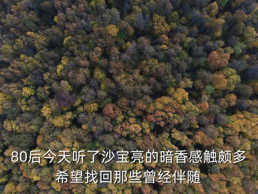 80后今天聽了沙寶亮的暗香感觸頗多希望找回那些曾經伴隨