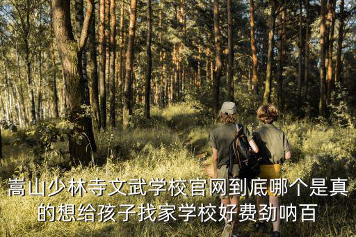 嵩山少林寺文武學校官網到底哪個是真的想給孩子找家學校好費勁吶百