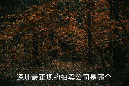 深圳最正規的拍賣公司是哪個
