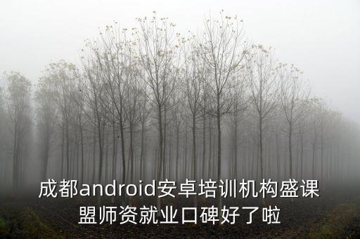 成都android安卓培訓機構盛課盟師資就業口碑好了啦