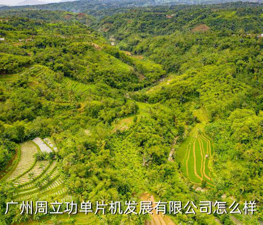 廣州周立功單片機發展有限公司怎么樣