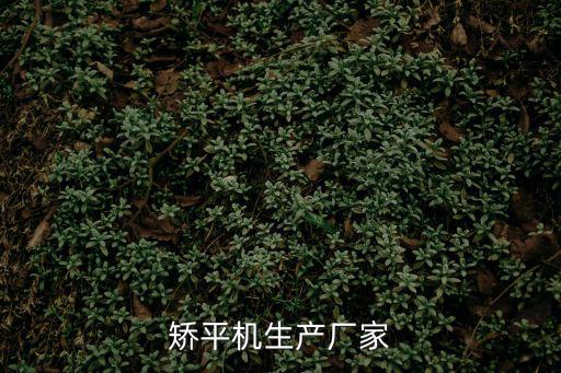 矯平機生產(chǎn)廠家