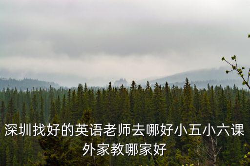 深圳找好的英語老師去哪好小五小六課外家教哪家好