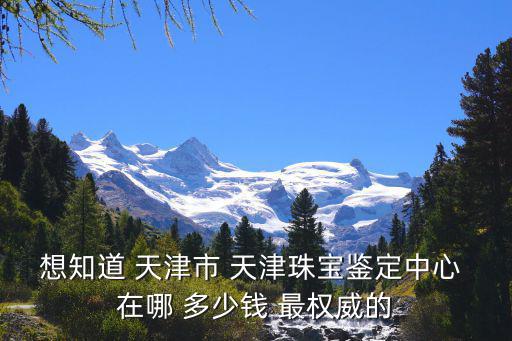 想知道 天津市 天津珠寶鑒定中心 在哪 多少錢 最權威的