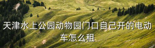 天津市電車租賃，天津百泰新能源汽車租賃服務有限公司怎么樣