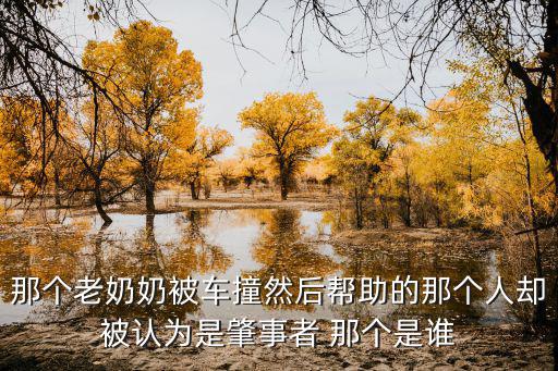 那個老奶奶被車撞然后幫助的那個人卻被認為是肇事者 那個是誰