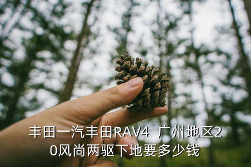 豐田一汽豐田RAV4  廣州地區20風尚兩驅下地要多少錢