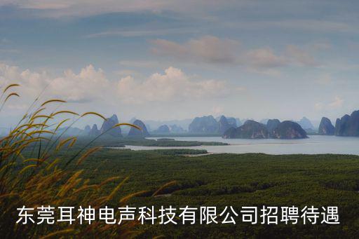 東莞耳神電聲科技有限公司招聘待遇