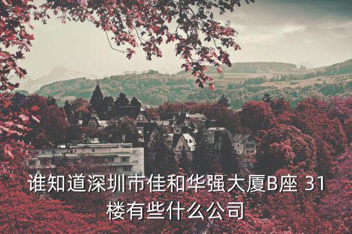 誰知道深圳市佳和華強大廈B座 31樓有些什么公司