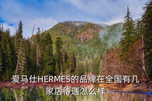 愛馬仕HERMES的品牌在全國有幾家店待遇怎么樣