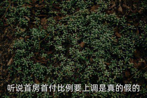 聽說首房首付比例要上調(diào)是真的假的