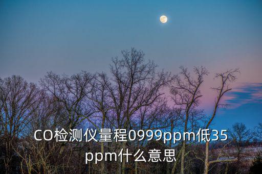 CO檢測(cè)儀量程0999ppm低35ppm什么意思