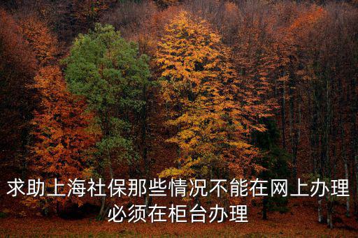 求助上海社保那些情況不能在網(wǎng)上辦理必須在柜臺(tái)辦理