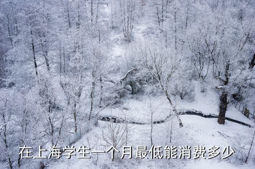 在上海學生一個月最低能消費多少