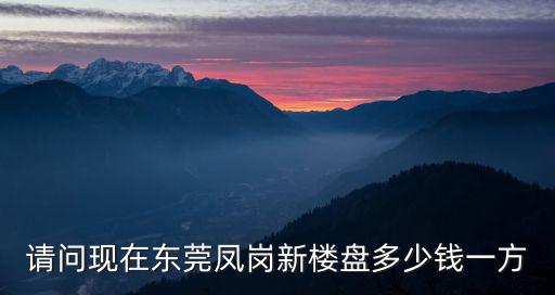 請問現在東莞鳳崗新樓盤多少錢一方