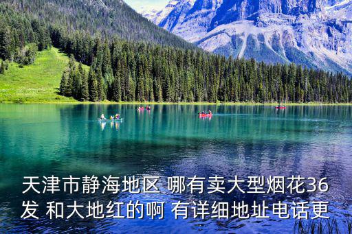 天津市靜海地區(qū) 哪有賣大型煙花36發(fā) 和大地紅的啊 有詳細地址電話更