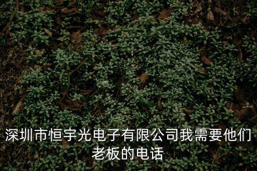 深圳市恒宇光電子有限公司我需要他們老板的電話