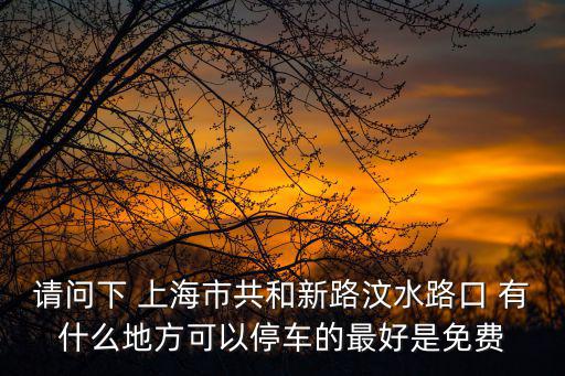 上海市停車，請問下 上海市共和新路汶水路口 有什么地方可以停車的最好是免費