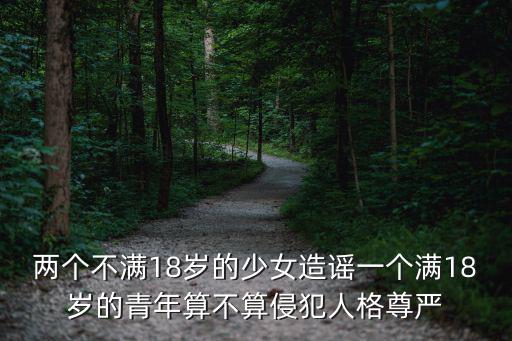 兩個不滿18歲的少女造謠一個滿18歲的青年算不算侵犯人格尊嚴