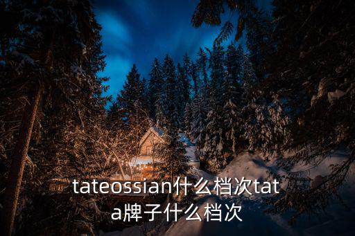 tateossian什么檔次tata牌子什么檔次