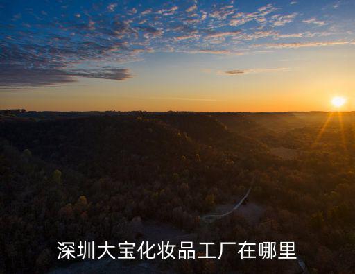 深圳大寶化妝品工廠在哪里