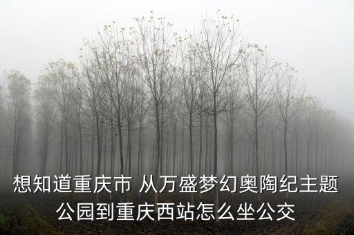 想知道重慶市 從萬盛夢幻奧陶紀主題公園到重慶西站怎么坐公交