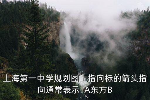 上海第一中學規劃圖上指向標的箭頭指向通常表示  A東方B