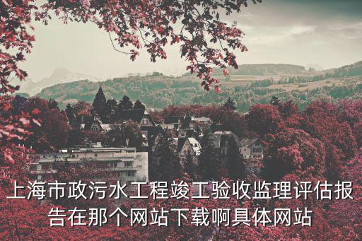 上海市政污水工程竣工驗收監理評估報告在那個網站下載啊具體網站