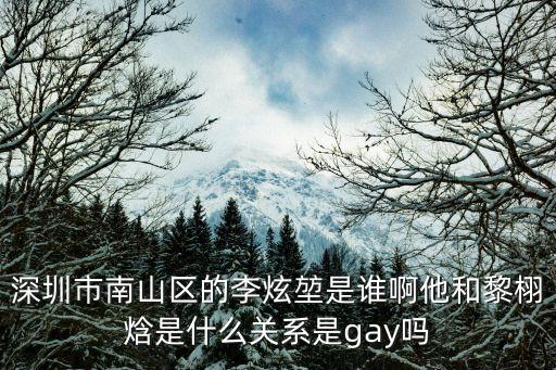 深圳市南山區的李炫堃是誰啊他和黎栩焓是什么關系是gay嗎