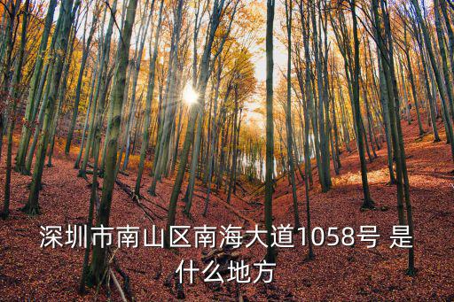 深圳市南山區(qū)南海大道1058號(hào) 是什么地方