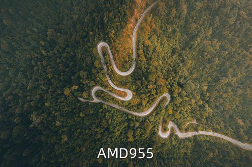 AMD955