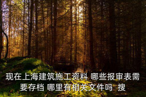 現在上海建筑施工資料 哪些報審表需要存檔 哪里有相關文件嗎  搜