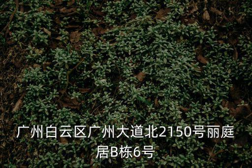廣州白云區廣州大道北2150號麗庭居B棟6號